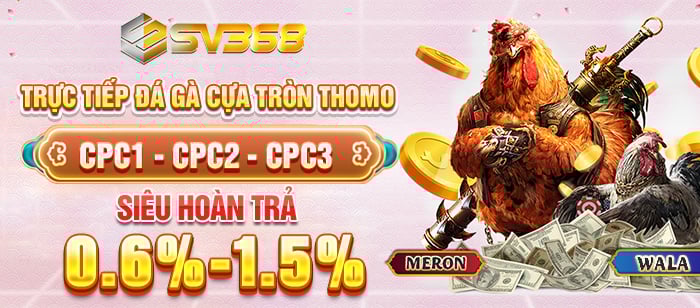 Nhà Cái Uy Tín XN - Bí Quyết Chọn Lựa và Đánh Giá Chi Tiết